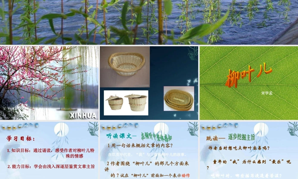 七年级语文下册(柳叶儿)课件 苏教版 课件