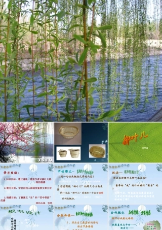 七年级语文下册(柳叶儿)课件 苏教版 课件