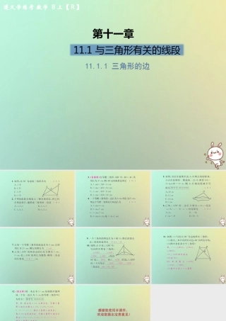 八年级数学上册 第十一章 三角形 11.1 与三角形有关的线段 11.1.1 三角形的边习题课件 (新版)新人教版 课件