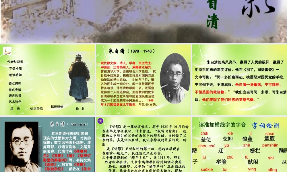 八年级语文上册 第三单元 11 背影课件2 (新版)苏教版 课件