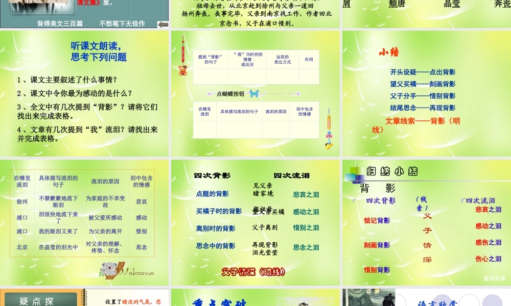 八年级语文上册 第三单元 11 背影课件2 (新版)苏教版 课件