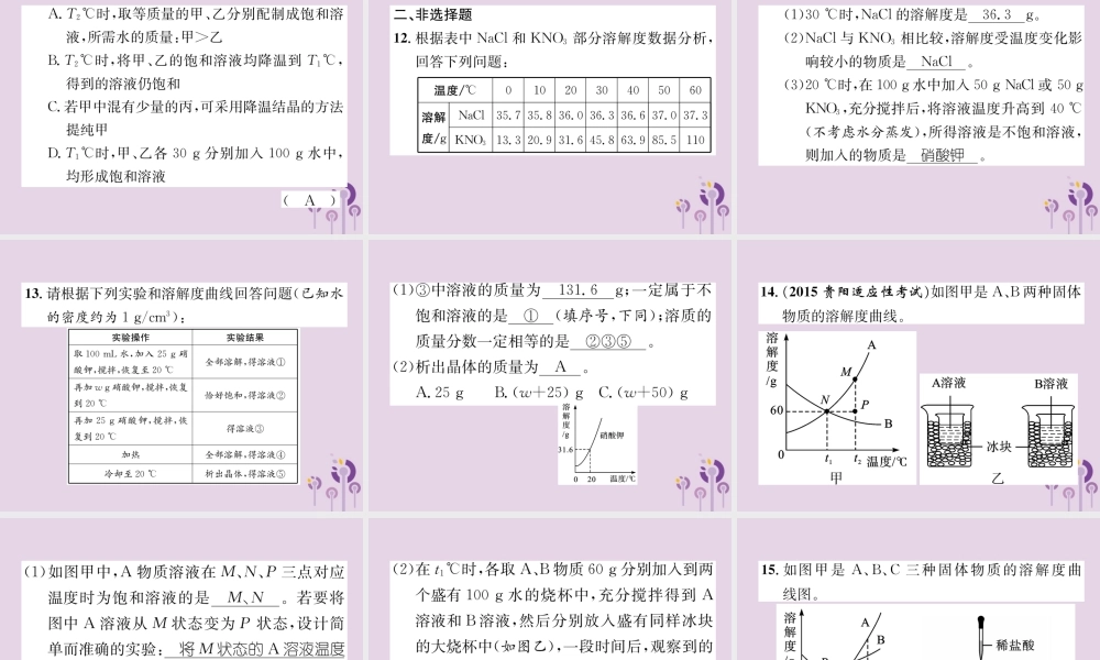中考化学总复习 第1编 主题复习 模块1 身边的化学物质 课时4 溶液(精练)课件