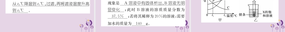 中考化学总复习 第1编 主题复习 模块1 身边的化学物质 课时4 溶液(精练)课件