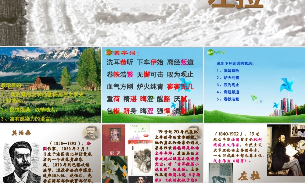 八年级语文下册 (在莫泊桑葬礼上的演说)优秀实用课件 苏教版 课件