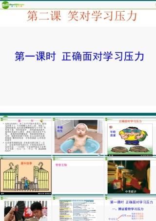 九年级政治 正确面对学习压力课件2 陕教版 课件