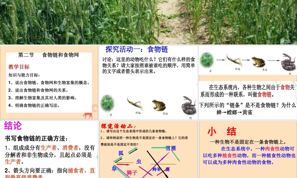 八年级生物下册 第七单元 生物与环境 第二章 生态系统 7.2.2 食物链和食物网课件(新版)冀教版 课件