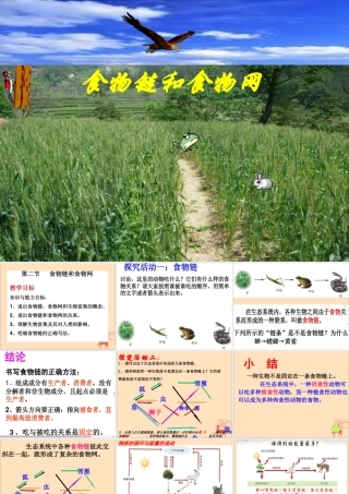 八年级生物下册 第七单元 生物与环境 第二章 生态系统 7.2.2 食物链和食物网课件(新版)冀教版 课件