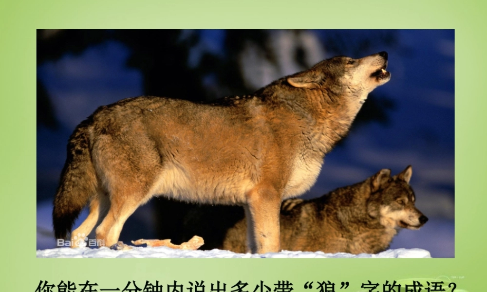 中学七年级语文下册 6.30(狼)课件2 (新版)新人教版 课件