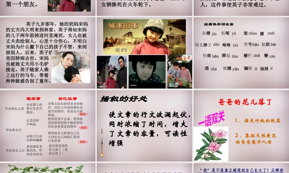 中学七年级语文下册(第一单元 第2课 爸爸的花儿落了)课件 新人教版 课件