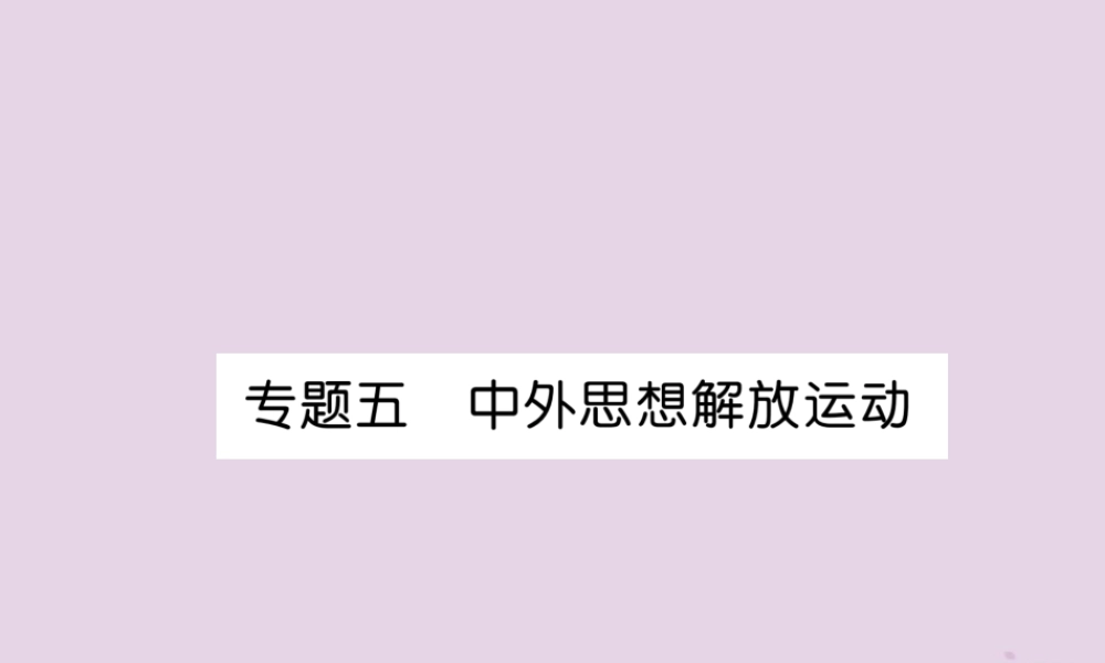 中考历史总复习 第二编 热点专题速查篇 专题5 中外思想解放运动(精讲)课件