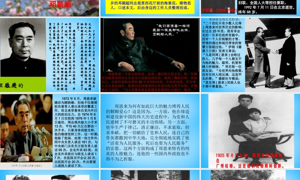 九年级语文上册 3(西花厅的海棠花又开了)课件2 语文版 课件