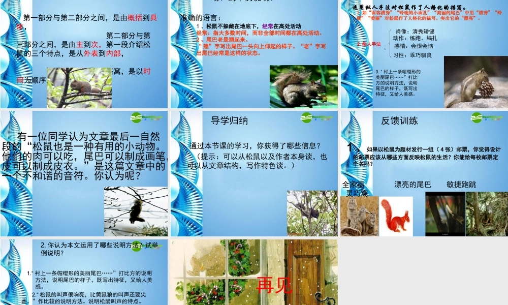 七年级语文下册(松鼠)课件 苏教版 课件