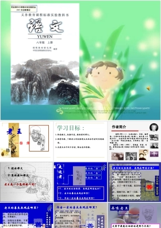 八年级语文 散文老王 ppt 课件