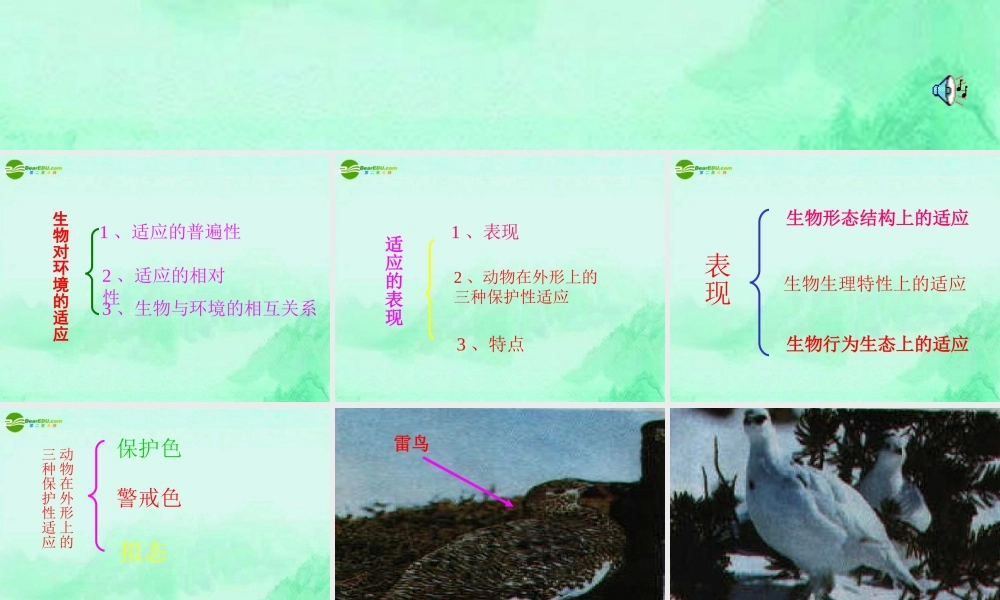 七年级生物上册 生物对环境的适应课件 苏科版 课件