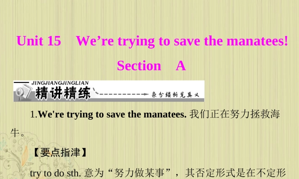 九年级英语上册 Unit15(Wearetryingtosavethemanatess)SectionA课件 人教新目标版 课件