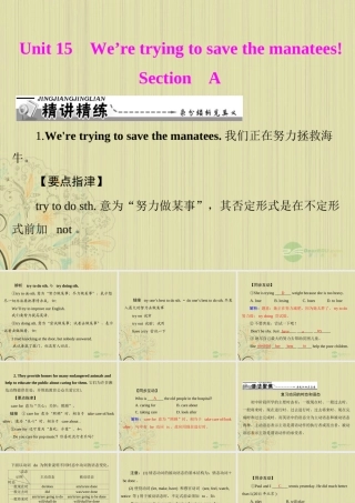 九年级英语上册 Unit15(Wearetryingtosavethemanatess)SectionA课件 人教新目标版 课件