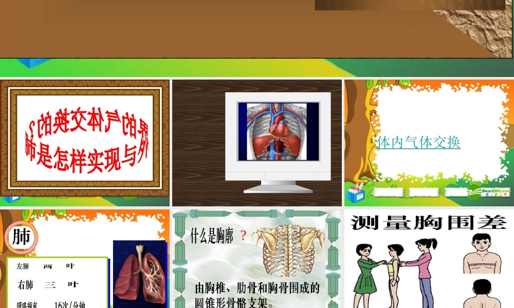 七年级生物下册：第四单元第三章第二节发生在肺内的气体交换2课件 人教版 课件