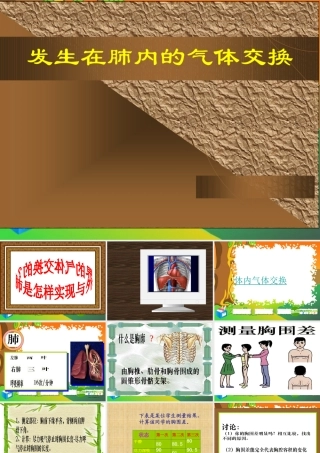 七年级生物下册：第四单元第三章第二节发生在肺内的气体交换2课件 人教版 课件