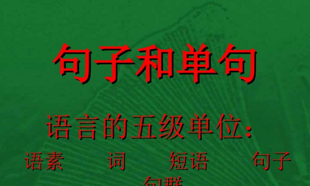 中考复习句子和单句 试题