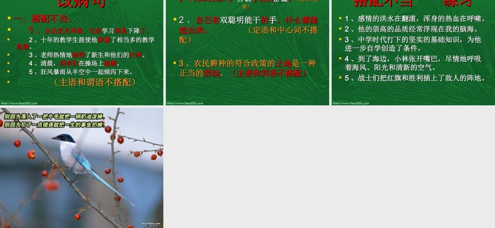 中考复习句子和单句 试题