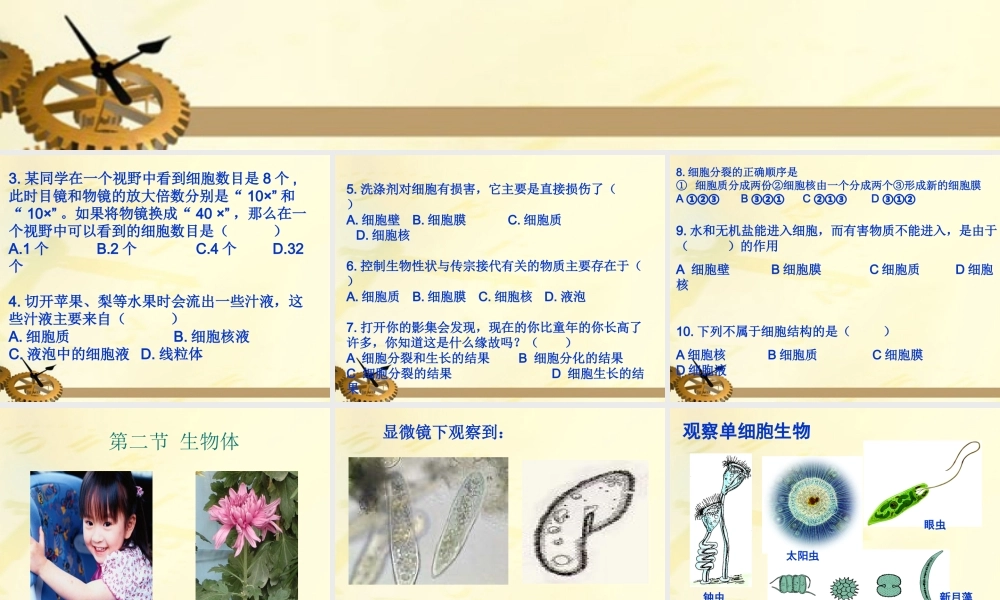 七年级生物上册 第三章生物体课件