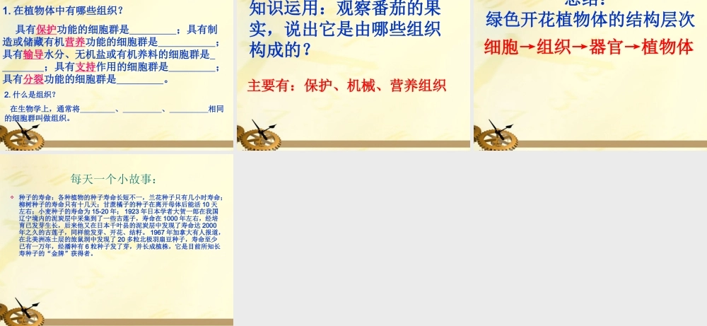 七年级生物上册 第三章生物体课件