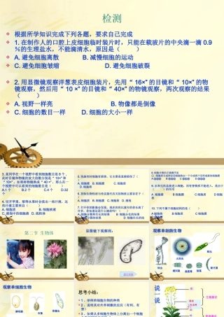 七年级生物上册 第三章生物体课件