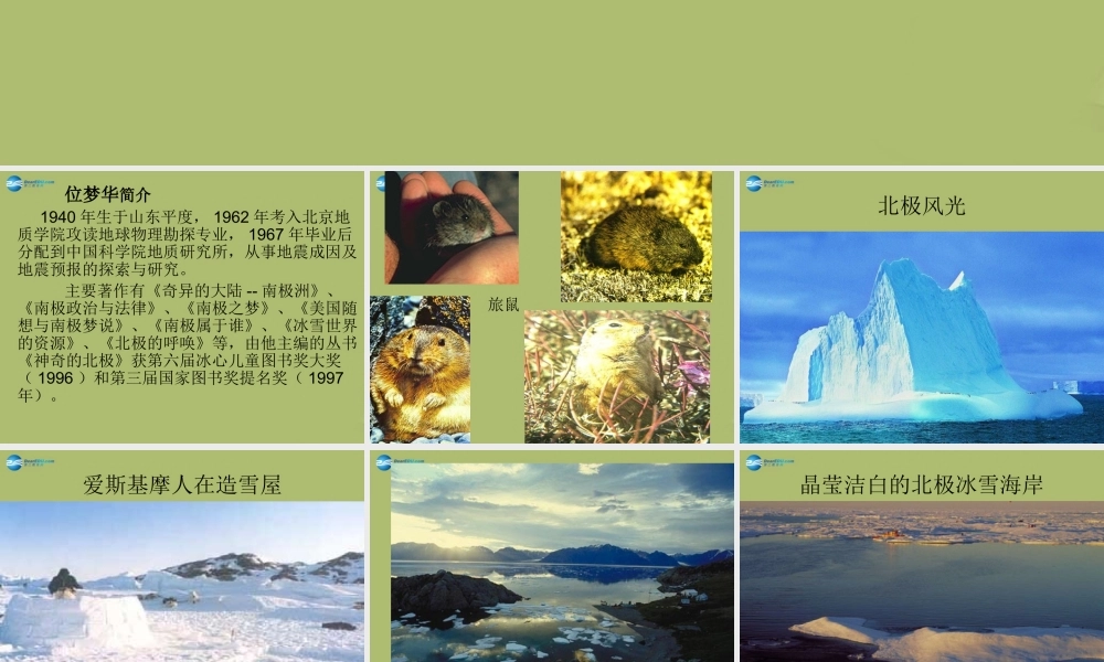 中学七年级语文上册 22 旅鼠之谜课件 鲁教版五四制 课件