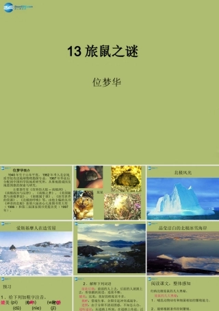 中学七年级语文上册 22 旅鼠之谜课件 鲁教版五四制 课件