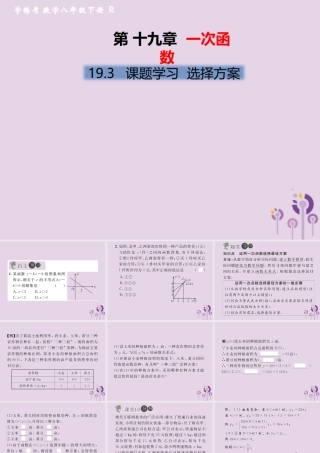 春八年级数学下册 第19章 一次函数 19.3 课题学习 选择方案习题课件 (新版)新人教版 课件