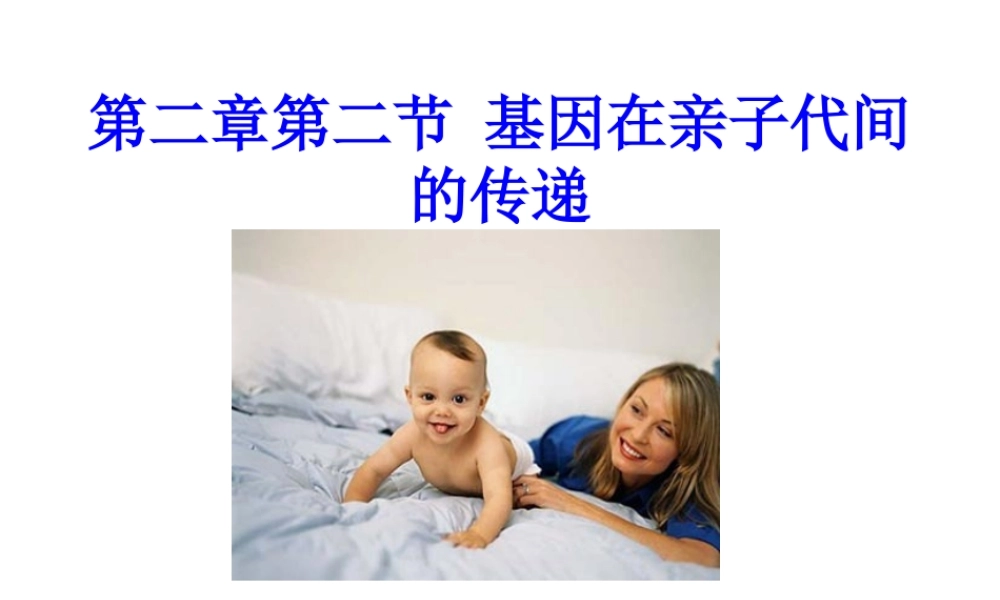 八年级生物：第二章第二节 基因在亲子代间的传递课件人教版 课件