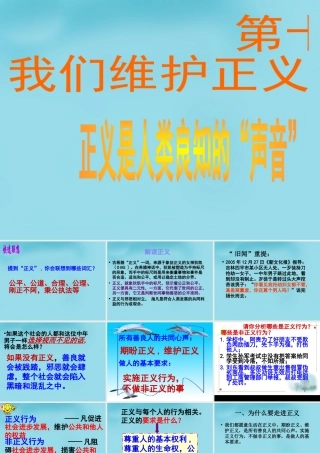 八年级政治下册 第十课 第一框 正义是人类良知的声音课件 新人教版 课件