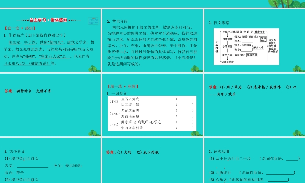 八年级语文下册 第三单元 10小石潭记习题课件 新人教版 课件