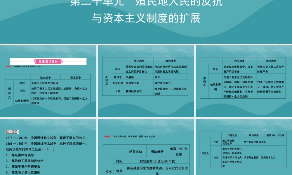 中考历史复习 第二十单元 殖民地人民的反抗与资本主义制度的扩展课件