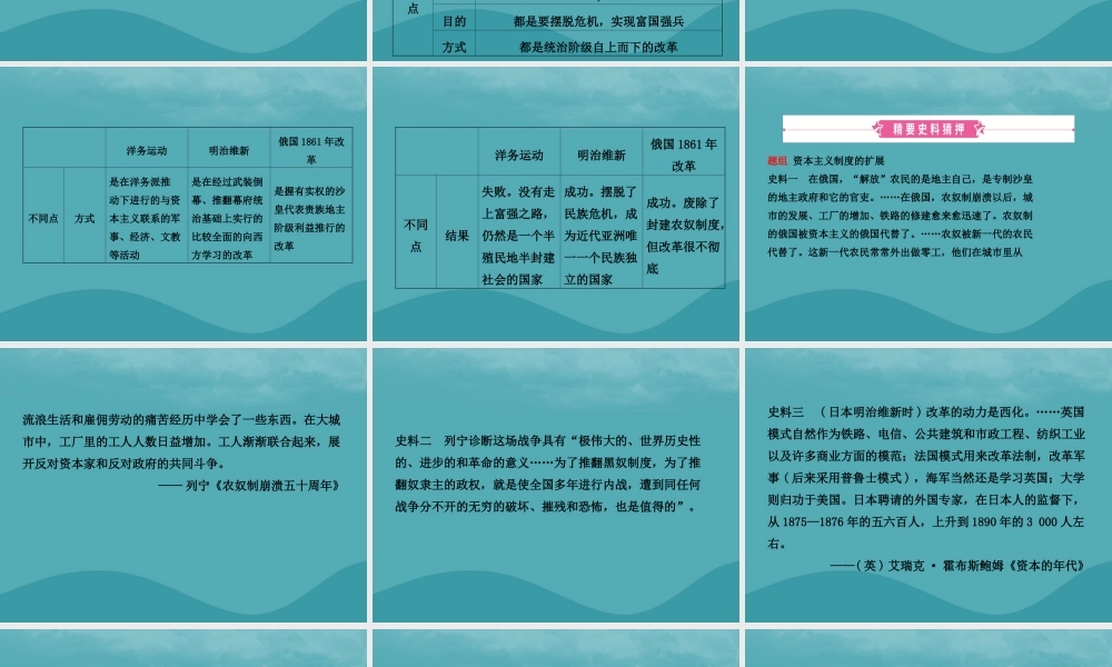 中考历史复习 第二十单元 殖民地人民的反抗与资本主义制度的扩展课件