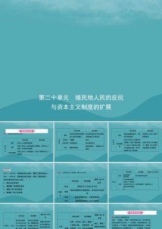 中考历史复习 第二十单元 殖民地人民的反抗与资本主义制度的扩展课件