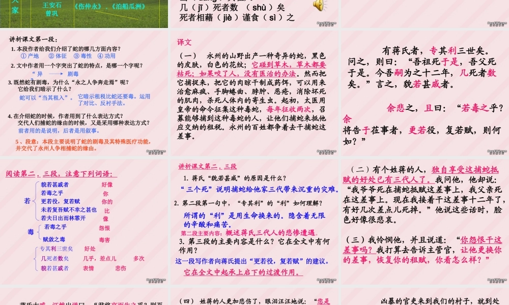 捕蛇者说九年级语文课件示例一 语文版 课件