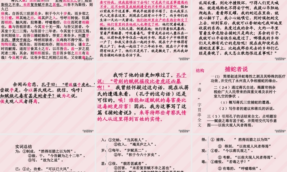 捕蛇者说九年级语文课件示例一 语文版 课件