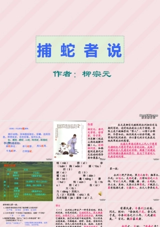 捕蛇者说九年级语文课件示例一 语文版 课件