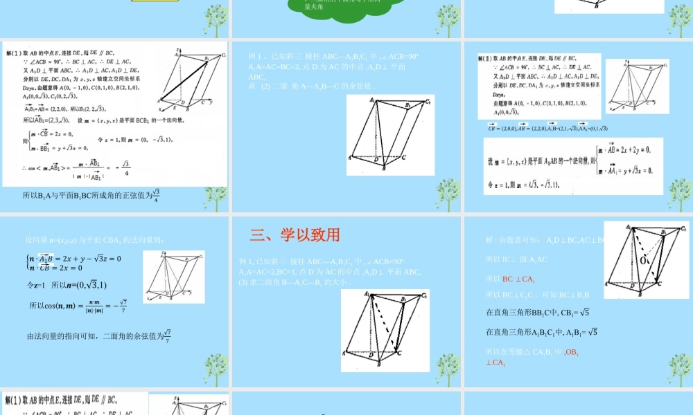 山西省忻州市高考数学 专题 用向量法计算角复习课件