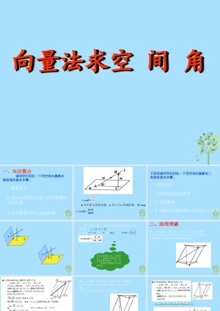 山西省忻州市高考数学 专题 用向量法计算角复习课件