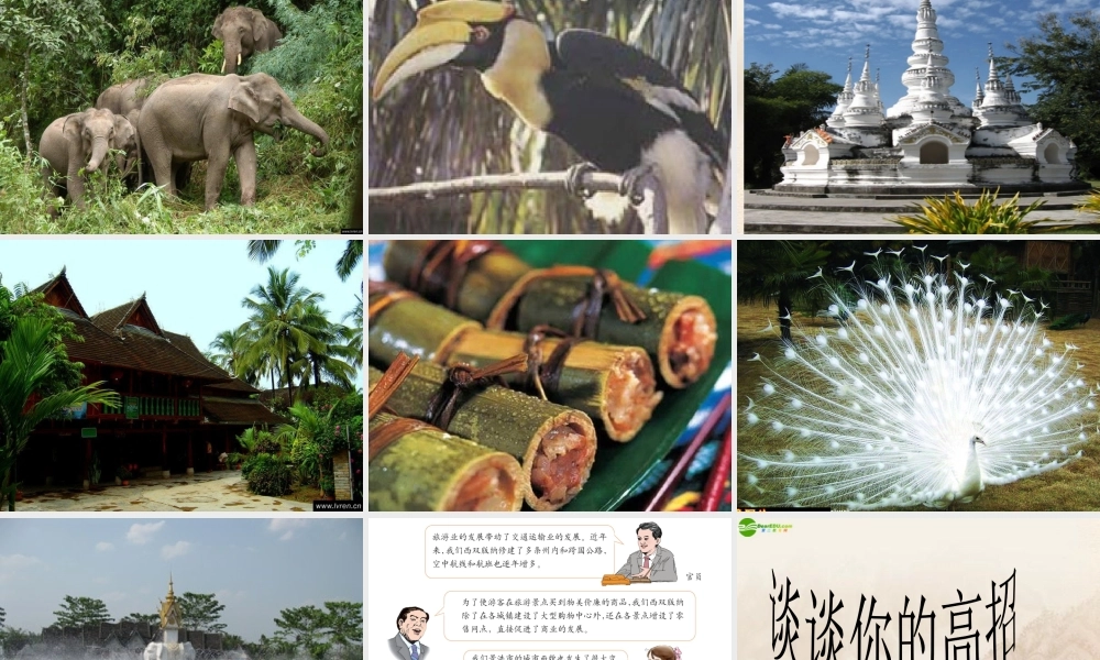 八年级地理下册 西南边陲的特色旅游区课件 人教新课标版 课件