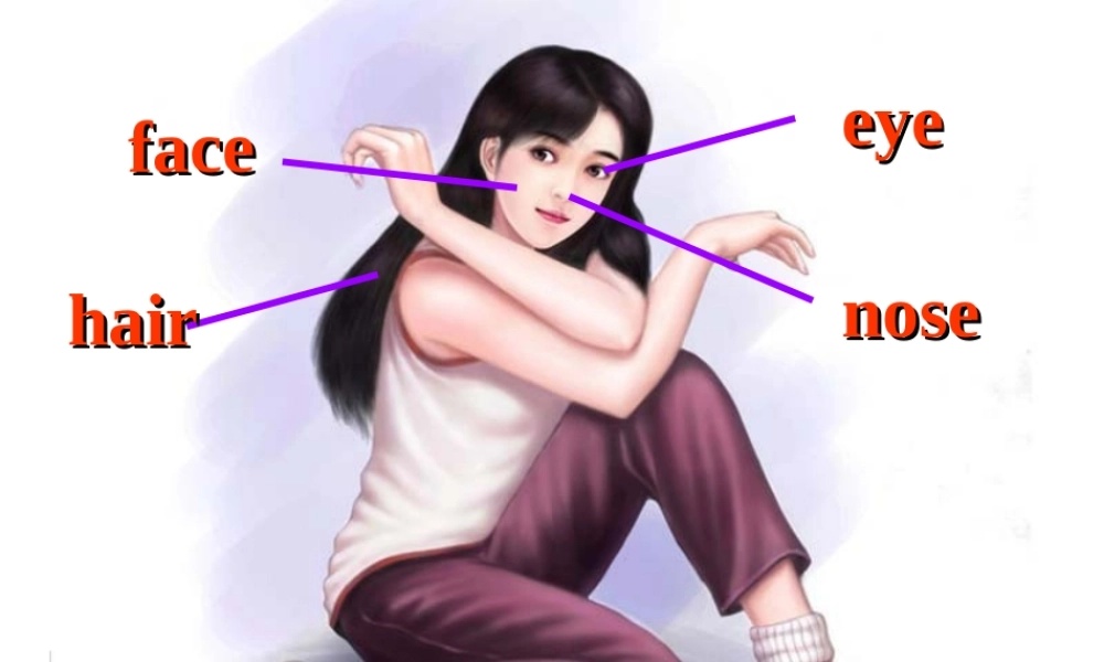 七年级英语上册 Unit 3 What does he look like课件 鲁教版 课件