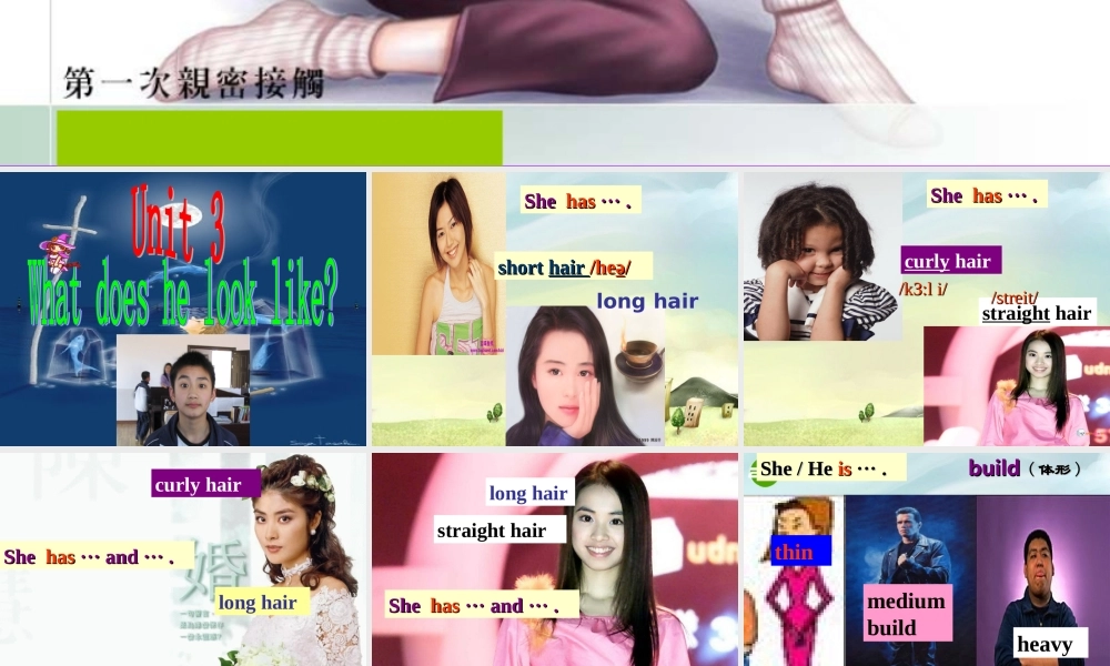 七年级英语上册 Unit 3 What does he look like课件 鲁教版 课件