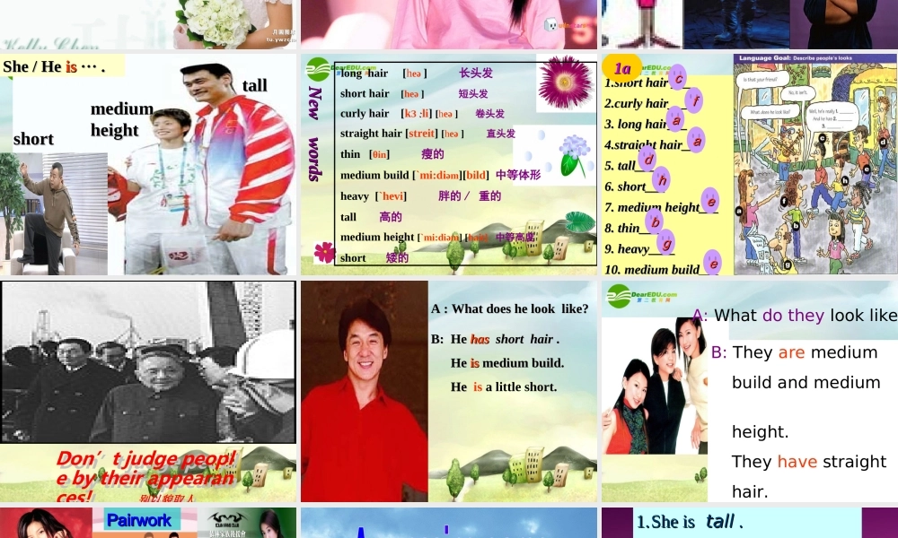 七年级英语上册 Unit 3 What does he look like课件 鲁教版 课件