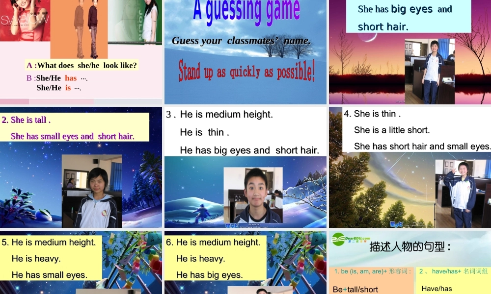 七年级英语上册 Unit 3 What does he look like课件 鲁教版 课件