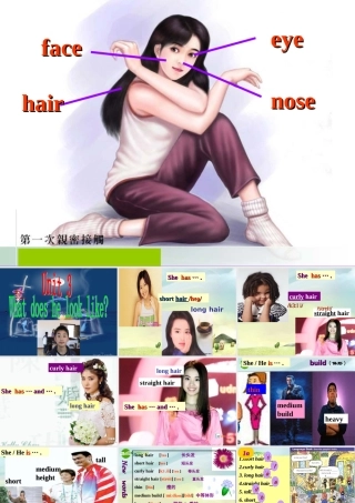 七年级英语上册 Unit 3 What does he look like课件 鲁教版 课件