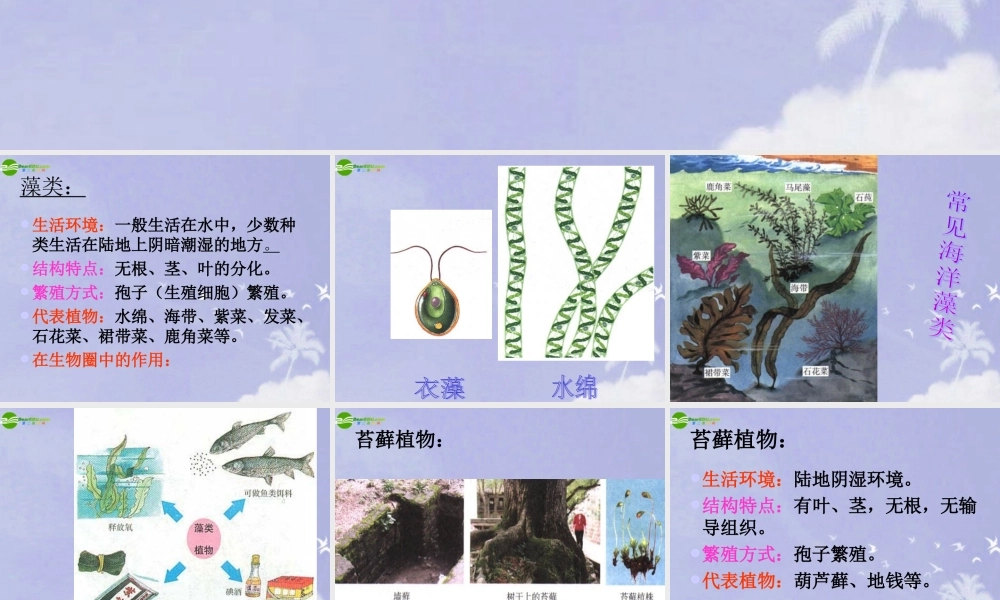 七年级生物上册 绿色植物的类群课件 济南版 课件