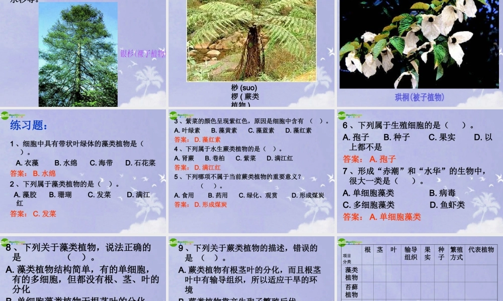 七年级生物上册 绿色植物的类群课件 济南版 课件