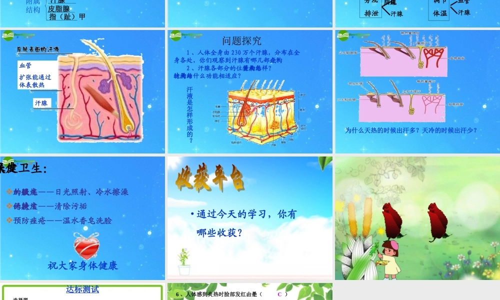 七年级生物下册 第二节汗液形成和排出课件 济南版 课件